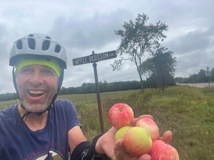 The Swedish Pancake Effect