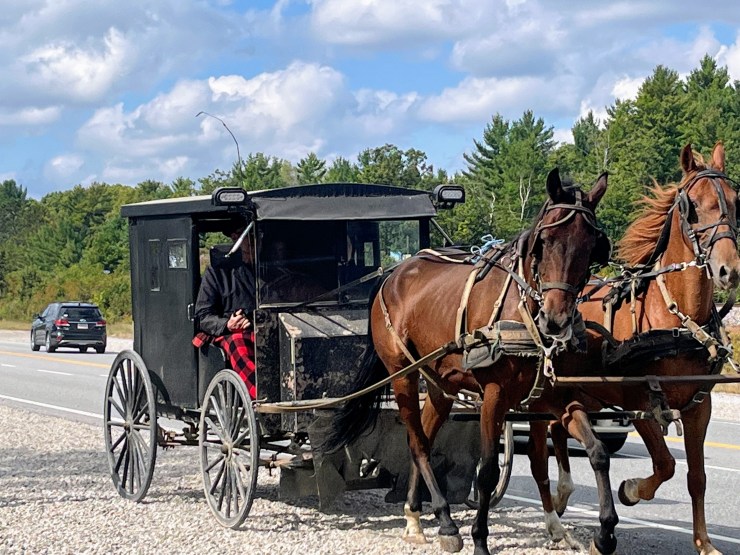 Mennonite Rush Hour, Giant Pumpkins & Ghost Clouds