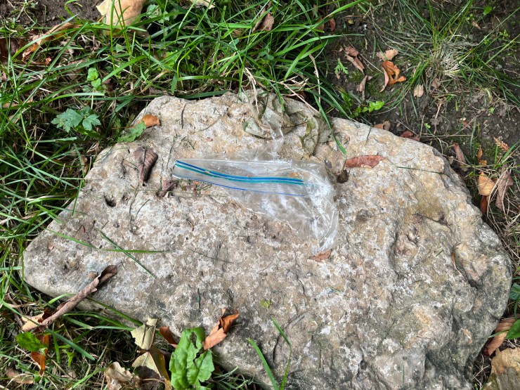 This is not a kissing book!