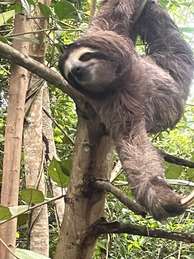 When the Fish are Biting . . .