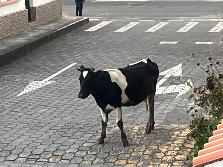 Ecuador – Little Things and the Big Picture