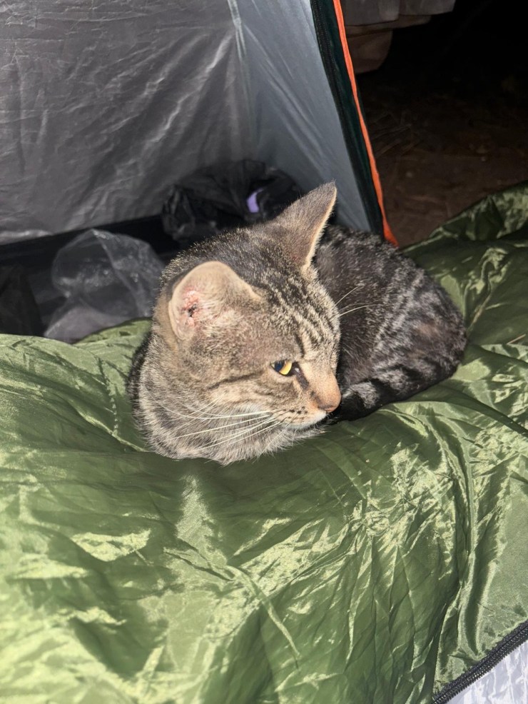 Bikes with some names