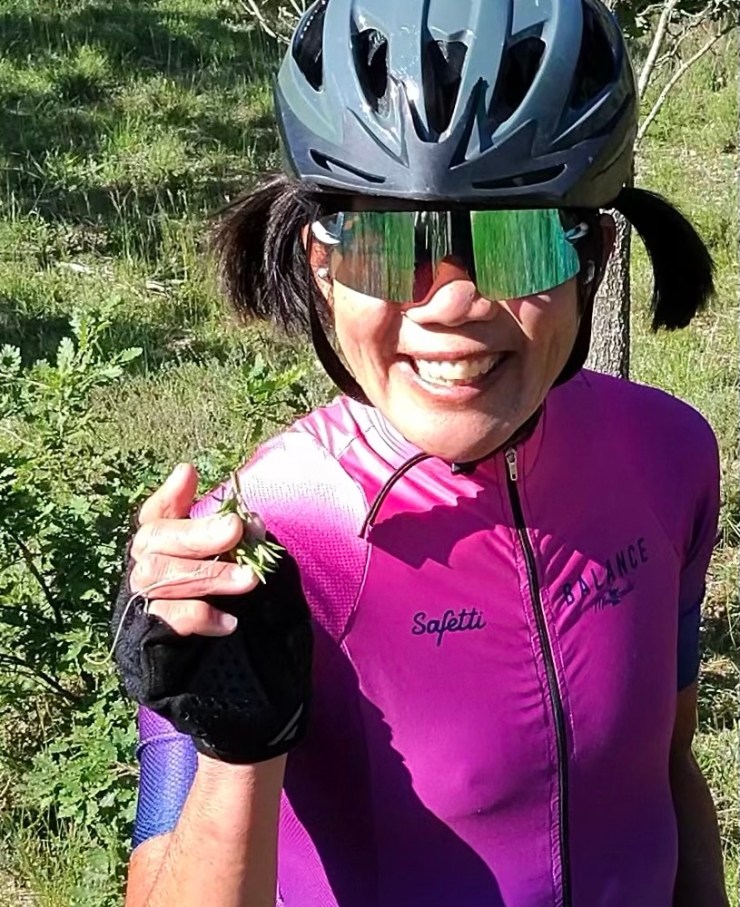 Provence, Sage, Rosemary and Thyme