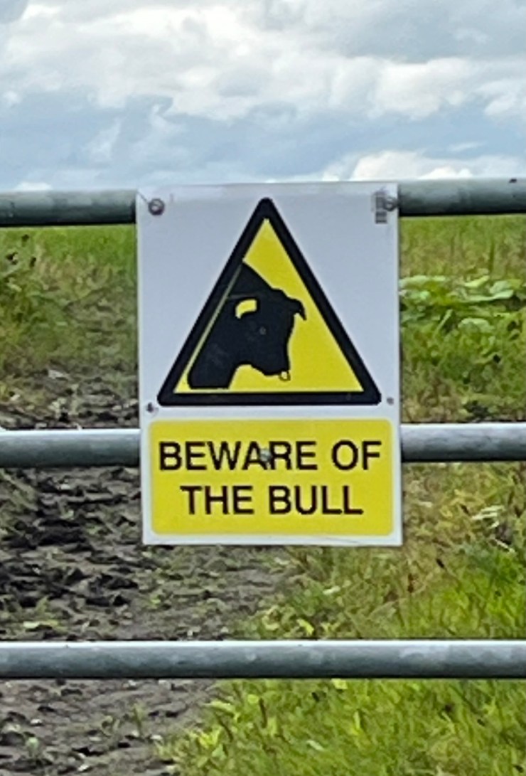 The Road Less Exciting